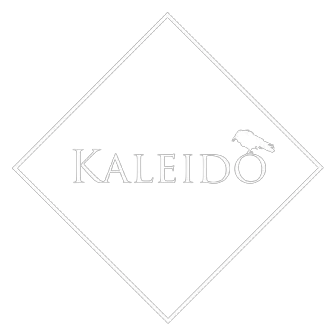 Logo de Kaleido Joyas